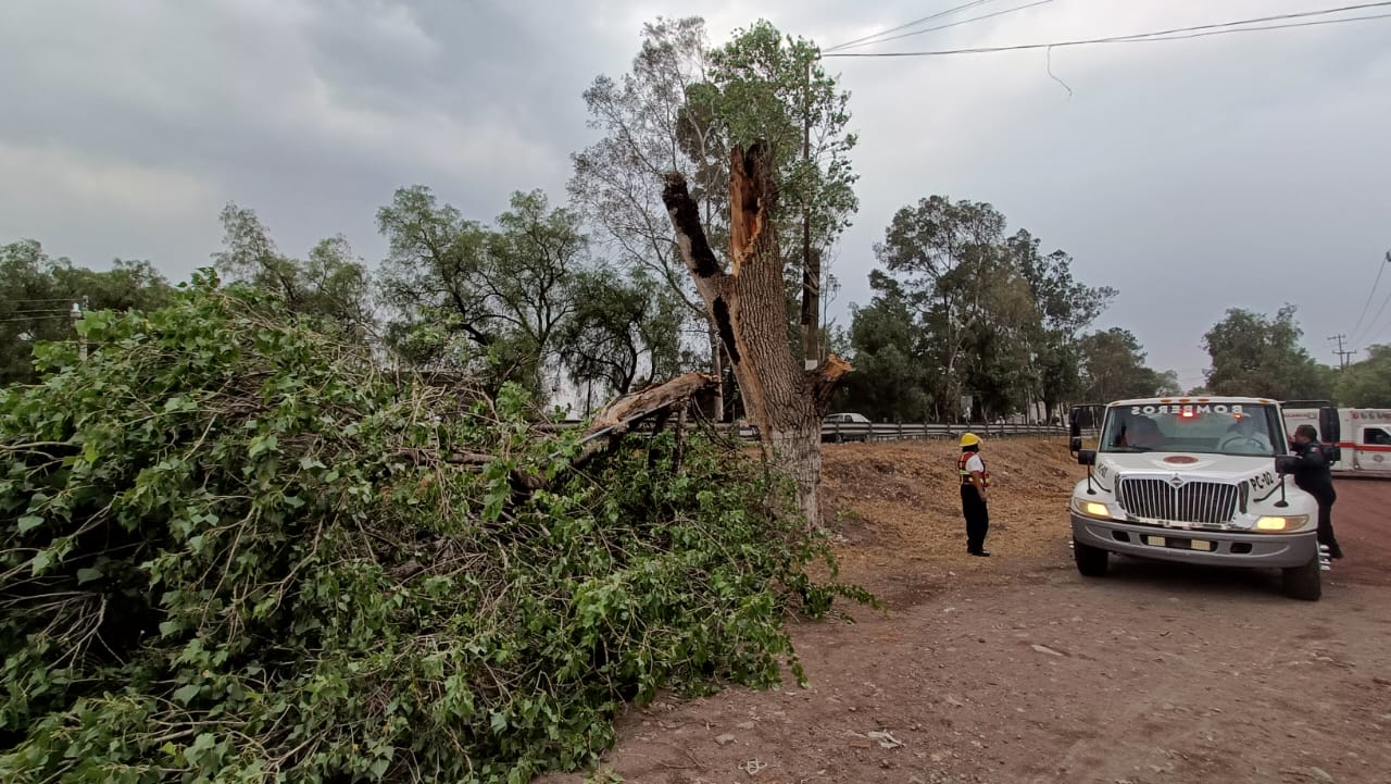 1715277528 652 Vecino de Teotihuacan toma las debidas precauciones