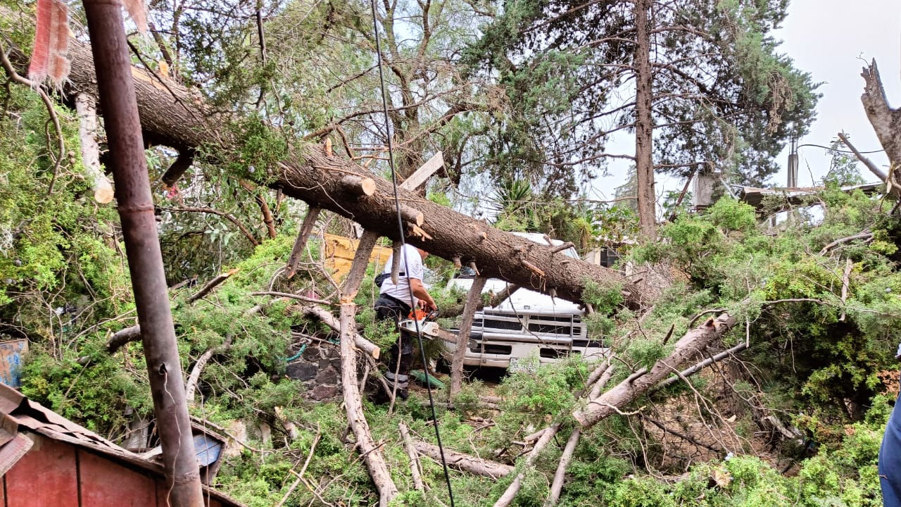 1715277528 941 Vecino de Teotihuacan toma las debidas precauciones