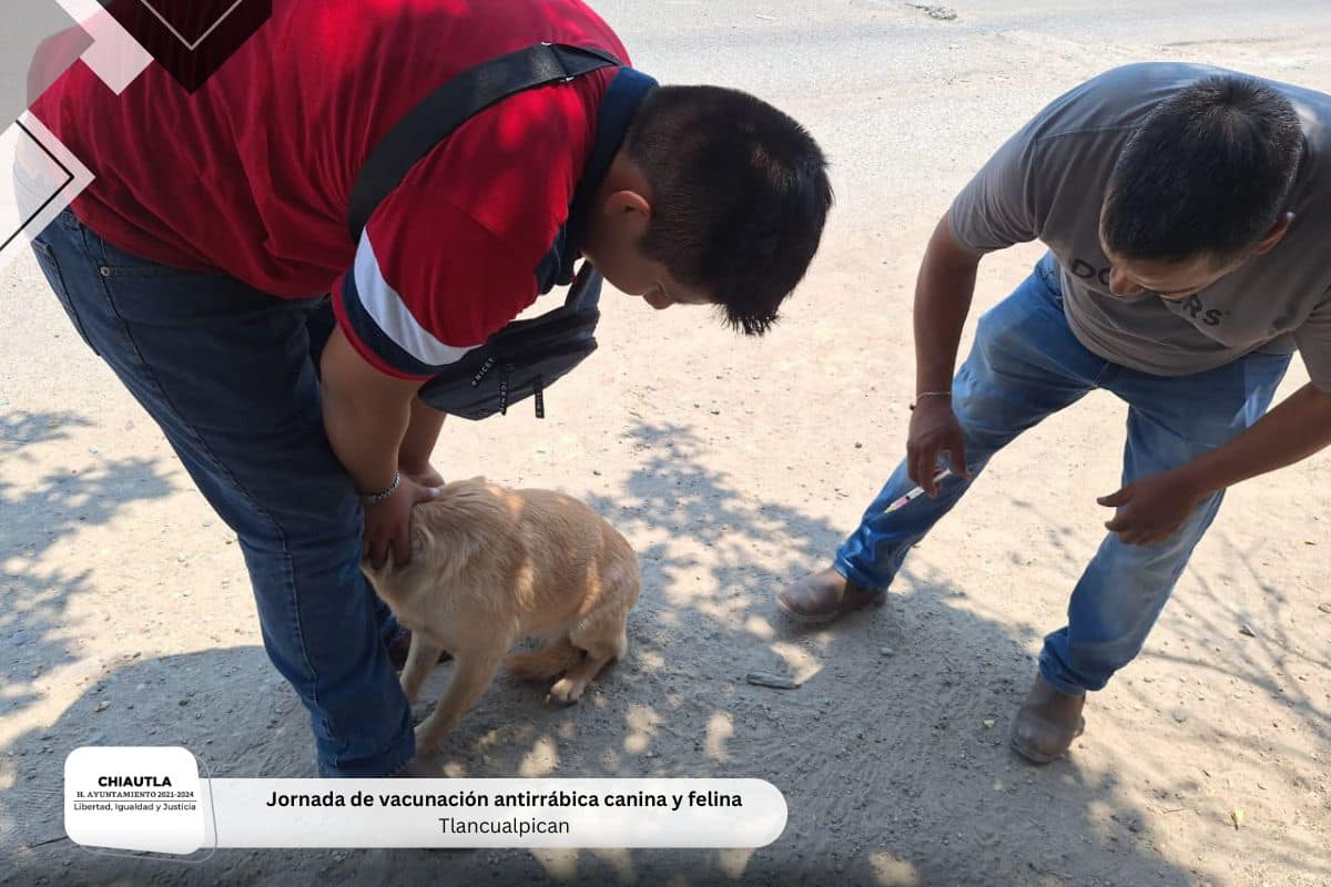 1715291442 950 Gracias por su participacion demostremos el amor hacia nuestras mascotas