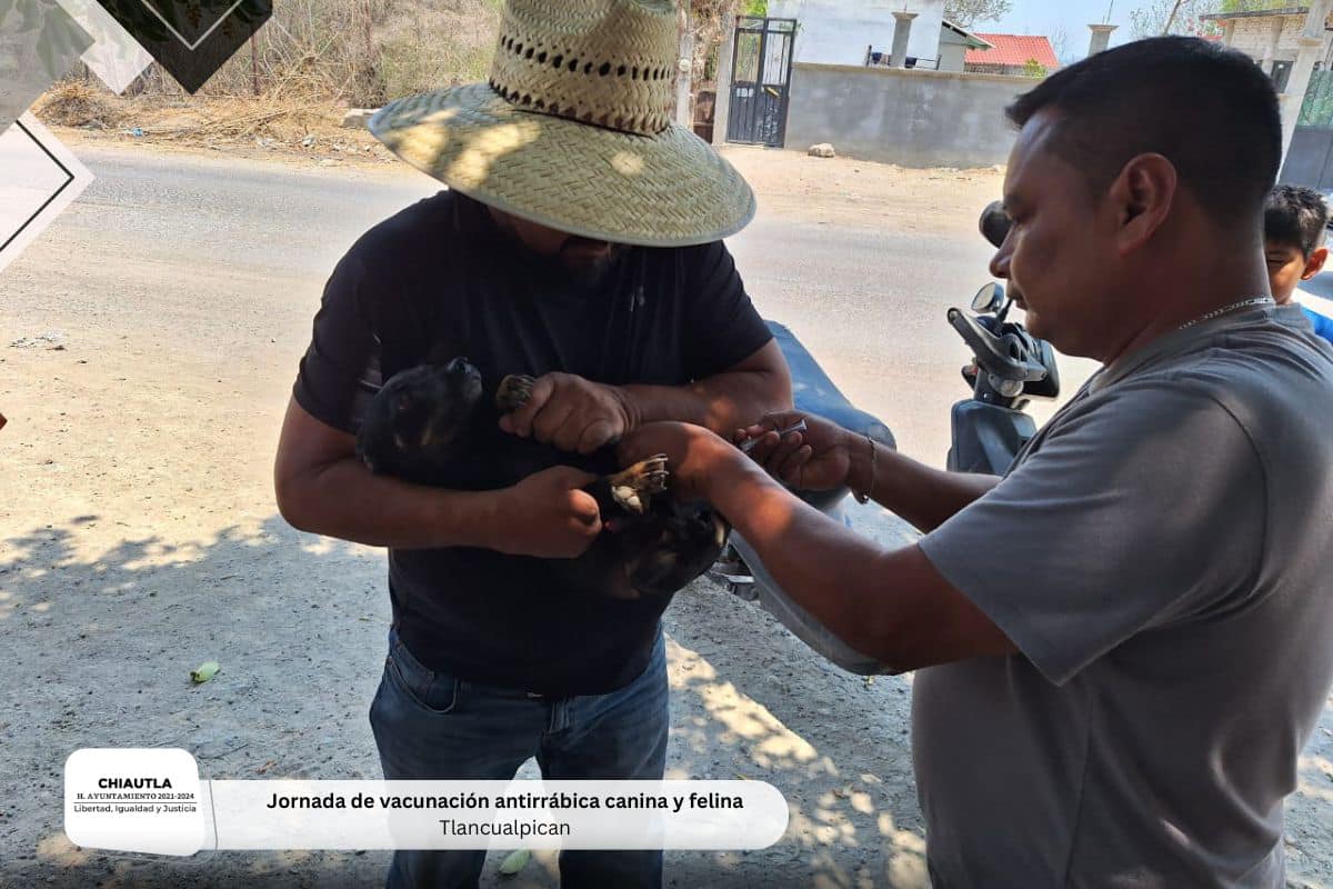 1715291445 Gracias por su participacion demostremos el amor hacia nuestras mascotas