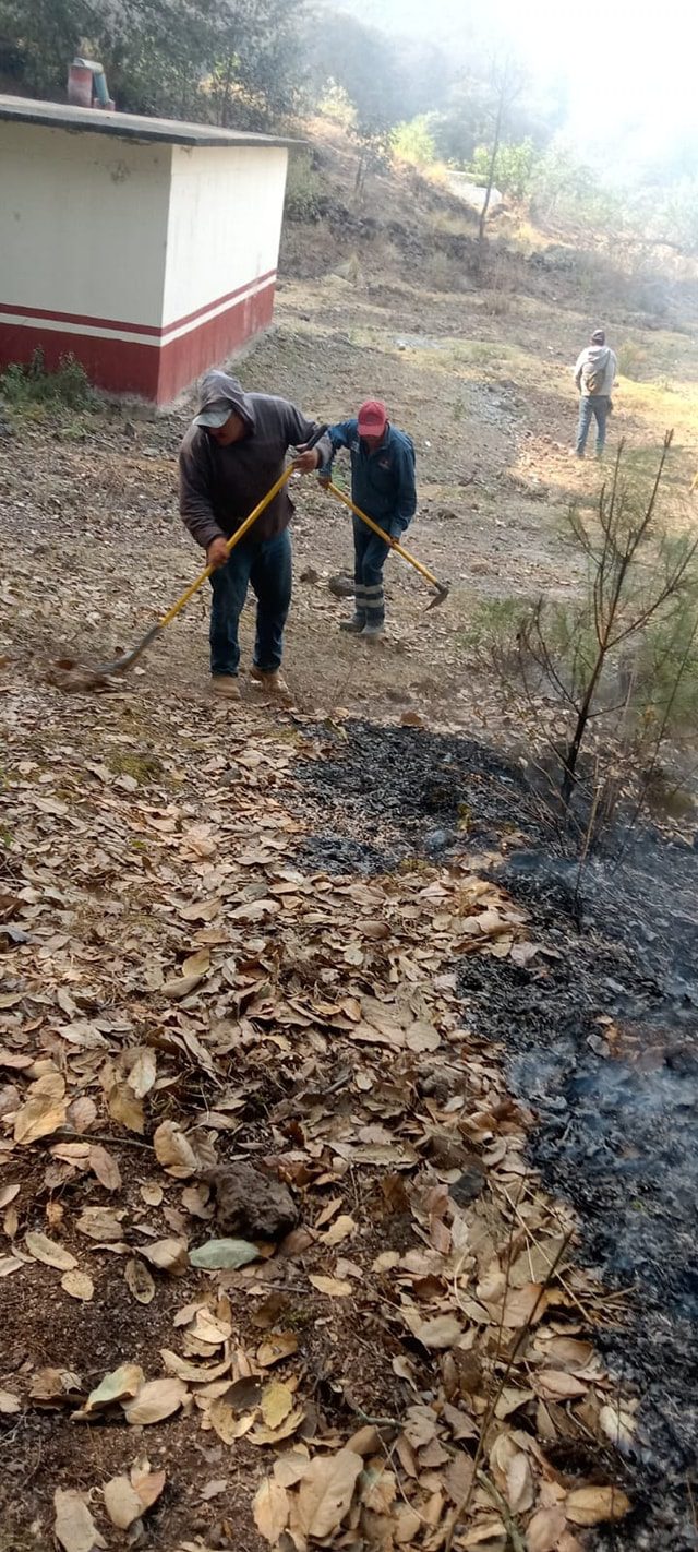 1715331955 721 ¡Ayudanos a prevenir incendios forestales La brigada forestal de la