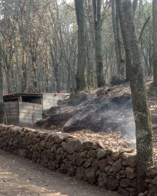 1715331956 977 ¡Ayudanos a prevenir incendios forestales La brigada forestal de la