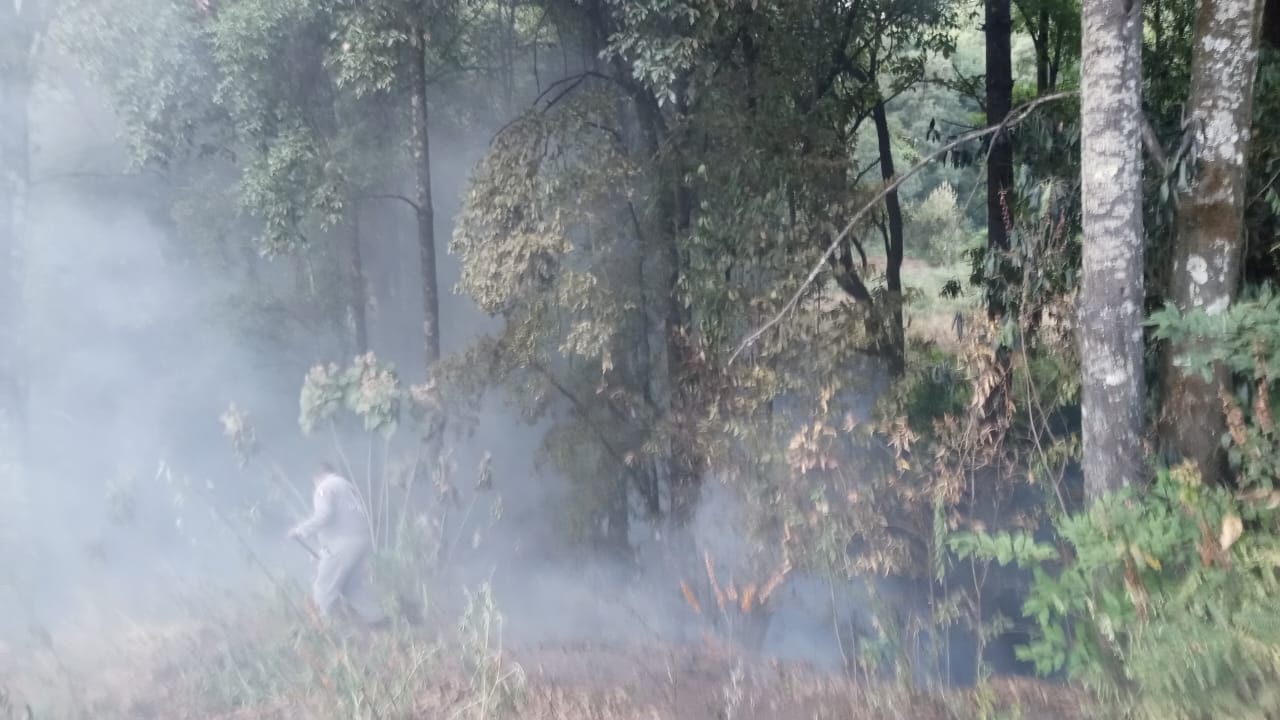 1715408374 275 se registra incendio en el paraje conocido como las Mesas