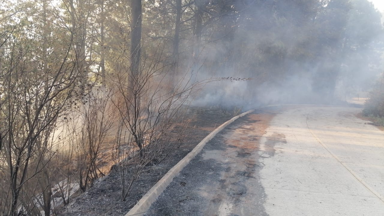 1715408374 802 se registra incendio en el paraje conocido como las Mesas