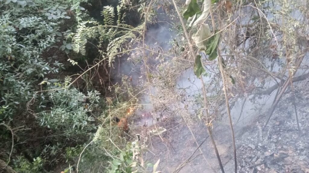 1715408379 se registra incendio en el paraje conocido como las Mesas scaled