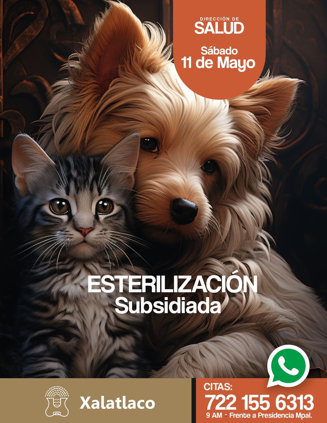 1715420204 965 Comparte para que muchas mascotas sean beneficiadas con la Esterilizacion