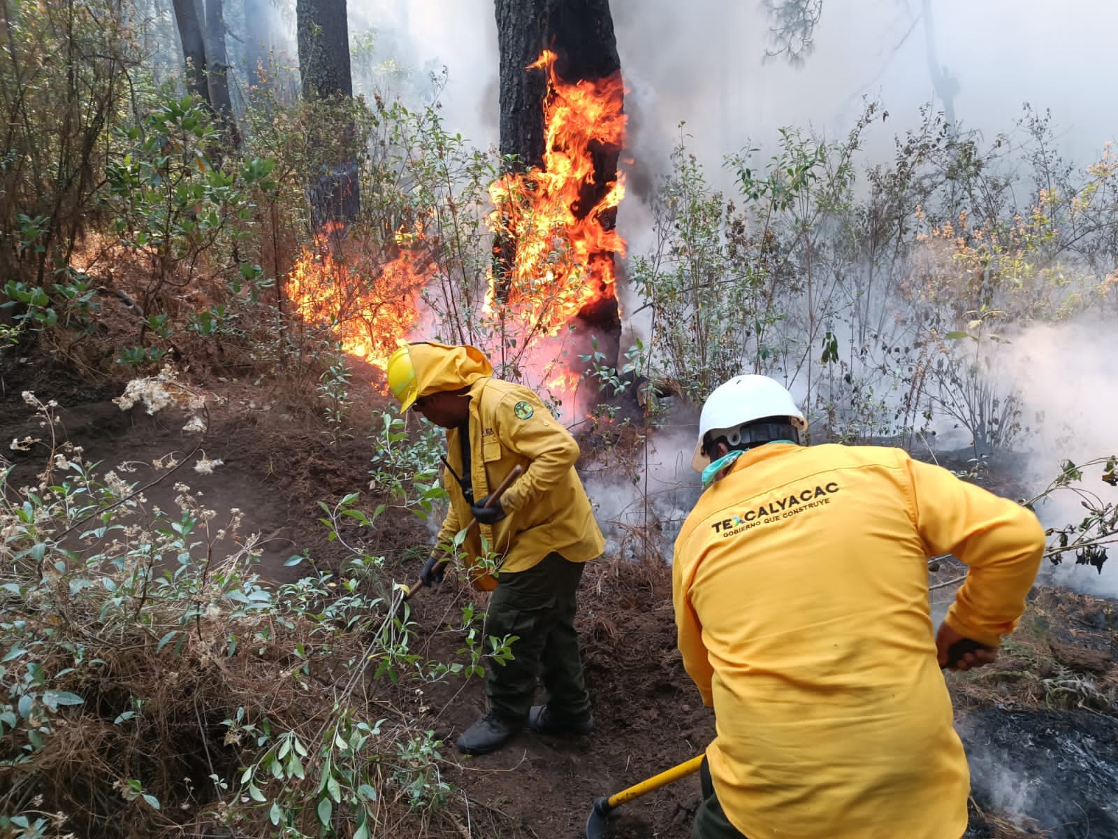 1715548228 457 ¡Actualizacion sobre los incendios forestales en nuestra region