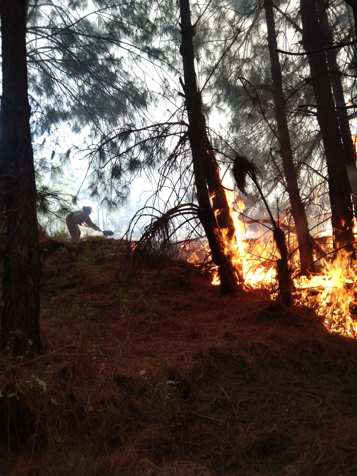 1715552967 192 El dia de ayer se registro un fuerte incendio en