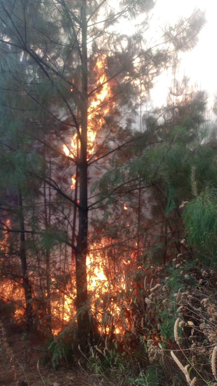 1715552967 215 El dia de ayer se registro un fuerte incendio en