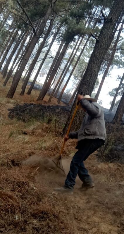 1715603126 352 ¡Proteger los bosques es tarea de todos