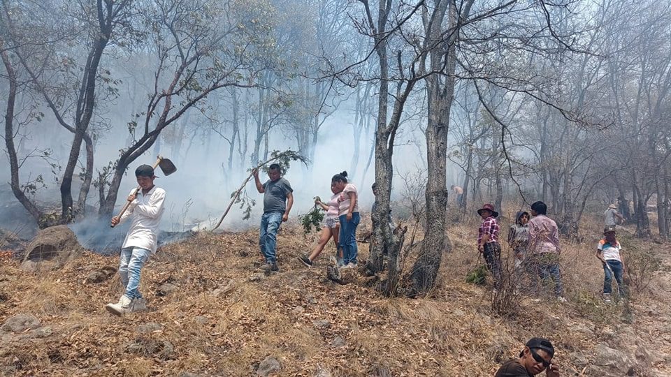 1715621490 486 Incendio Elementos de Proteccion Civil y vecinos de la