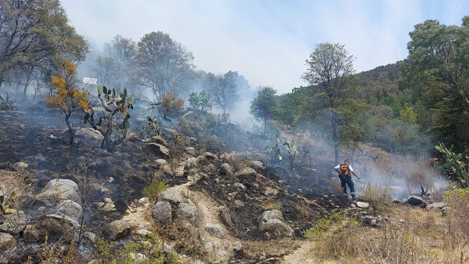 1715621494 Incendio Elementos de Proteccion Civil y vecinos de la