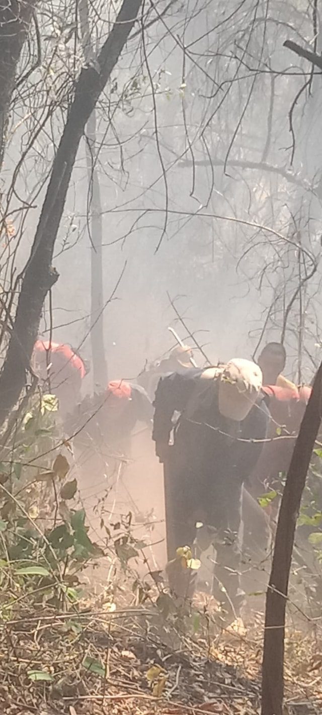 1715657307 233 La brigada contra incendios de la Direccion de Medio Ambiente