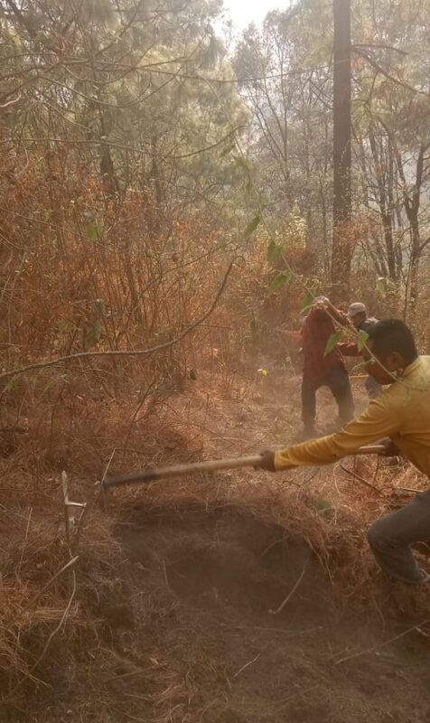 1715657307 270 La brigada contra incendios de la Direccion de Medio Ambiente