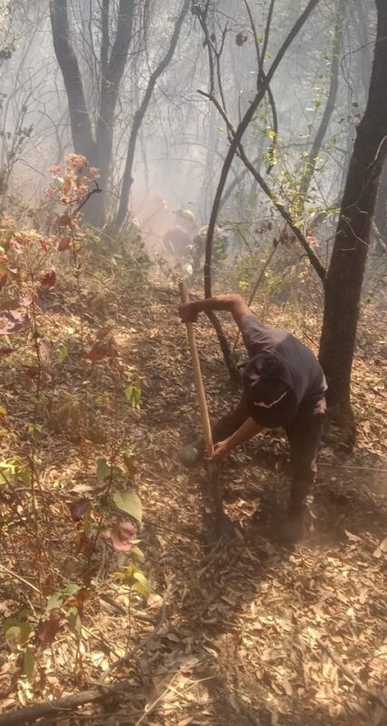 1715657307 548 La brigada contra incendios de la Direccion de Medio Ambiente