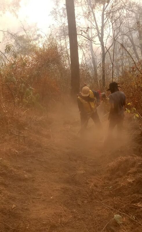 1715657314 La brigada contra incendios de la Direccion de Medio Ambiente