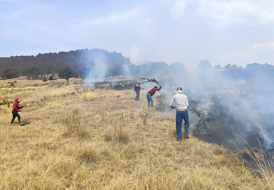 1715657672 755 Incendio Elementos de Proteccion Civil y voluntarios atienden un