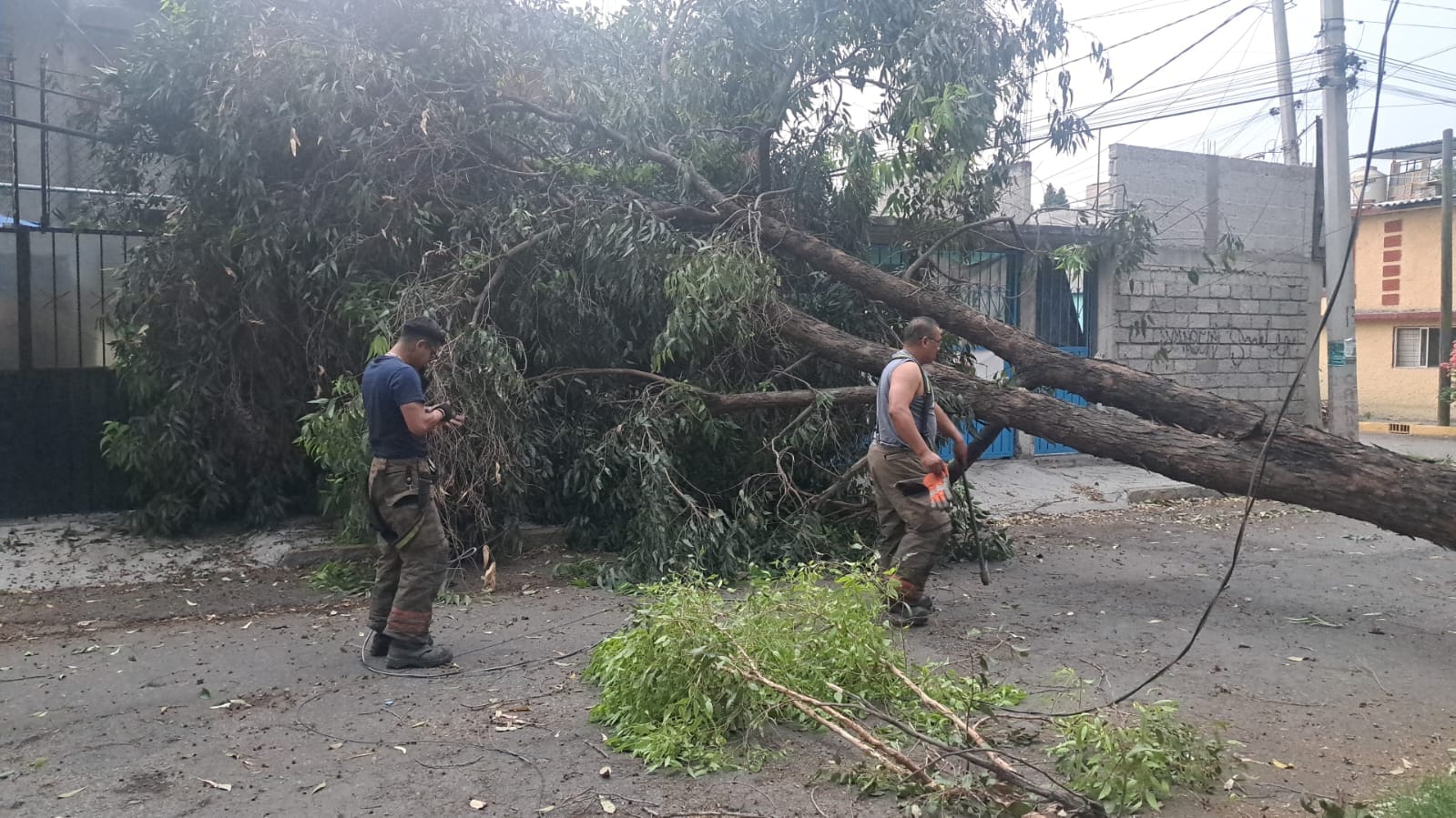 1715661389 561 Companeros de Proteccion Civil y Bomberos Ecatepec se encuentran laborando