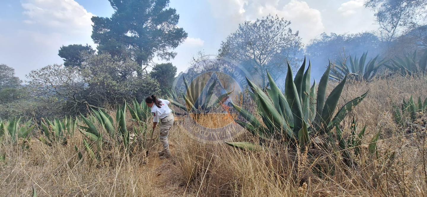 1715768993 761 Cuidemos nuestro entorno natural y evitemos provocar incendios ya que