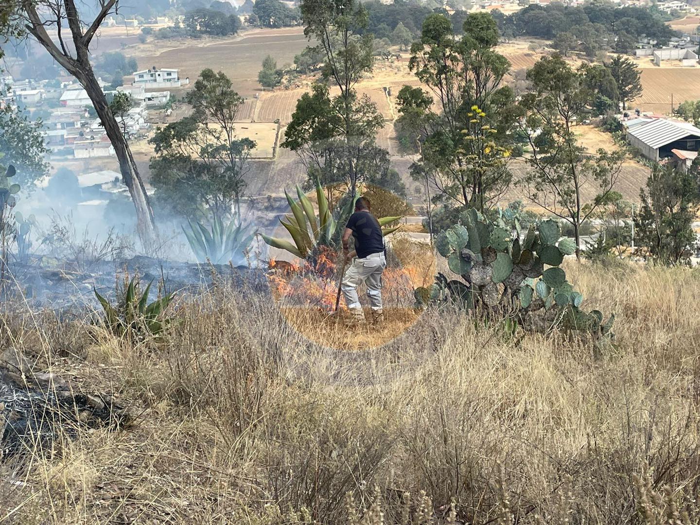 1715768993 880 Cuidemos nuestro entorno natural y evitemos provocar incendios ya que