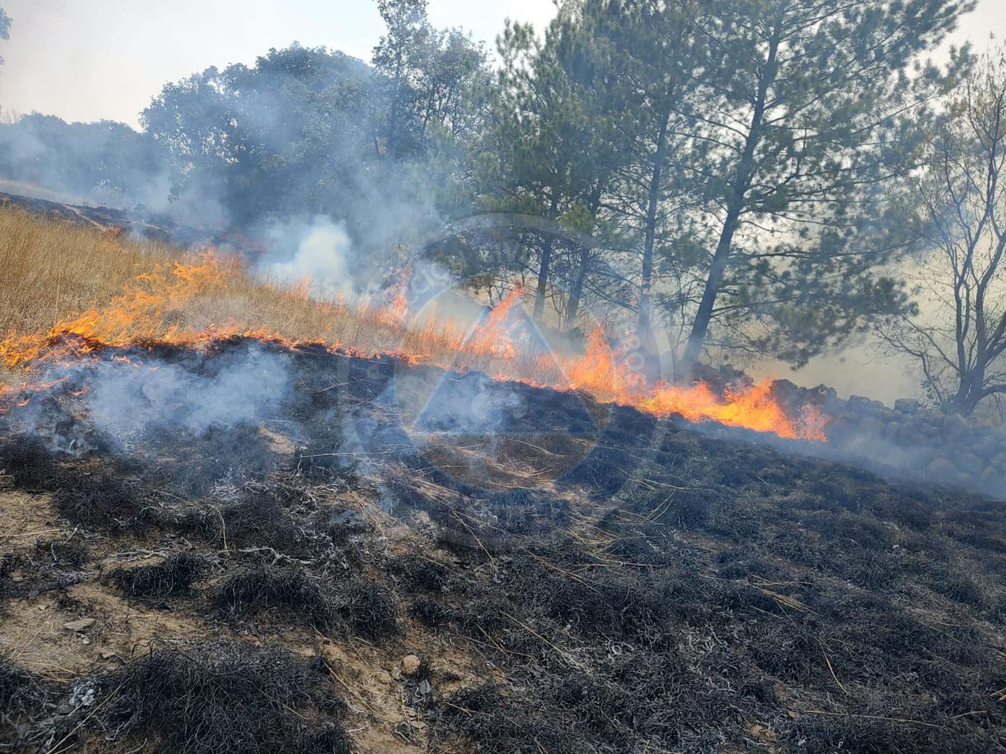 1715768993 956 Cuidemos nuestro entorno natural y evitemos provocar incendios ya que