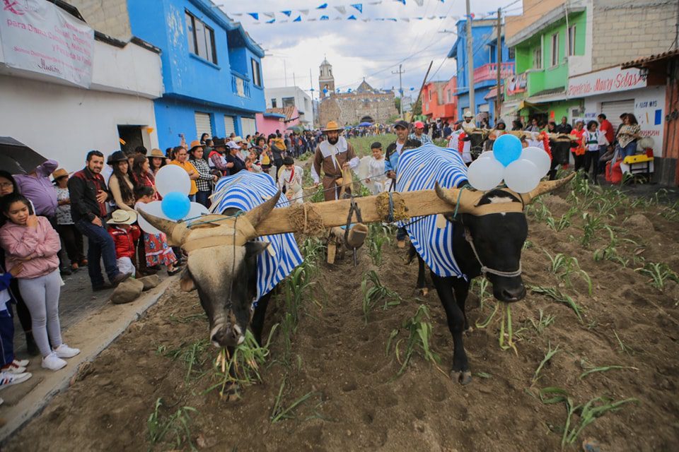 1715785189 Hoy celebramos a todas y todos los agricolas de Santa