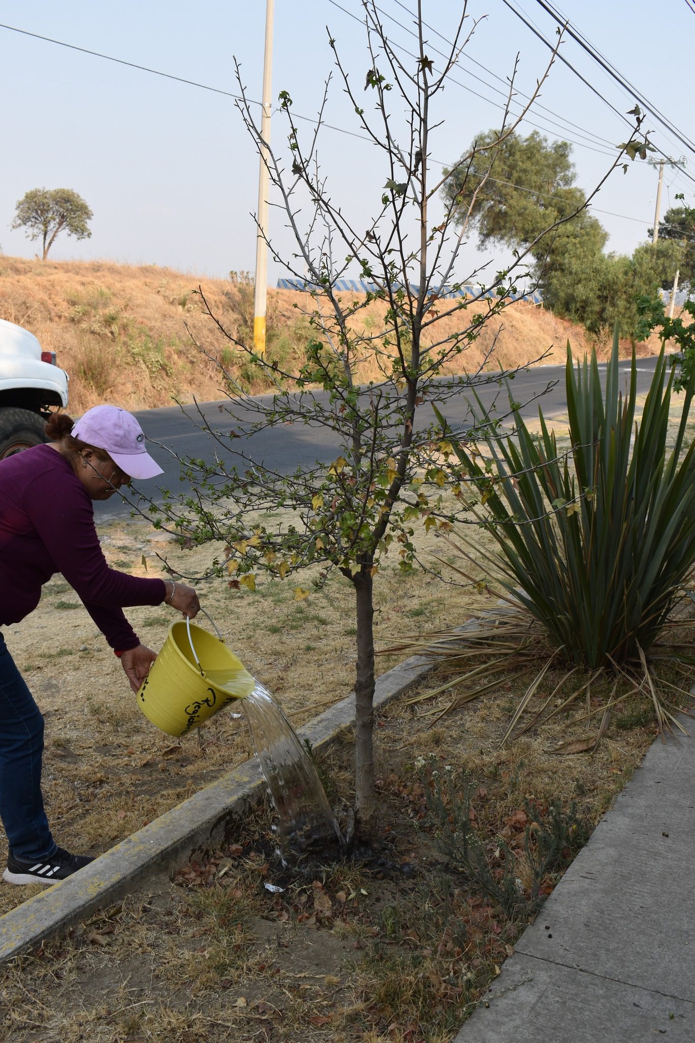 1715801973 346 ¡Unete a nosotros para cuidar y preservar nuestros arboles En