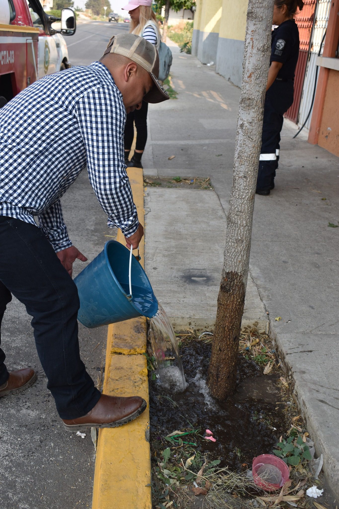 1715801973 490 ¡Unete a nosotros para cuidar y preservar nuestros arboles En