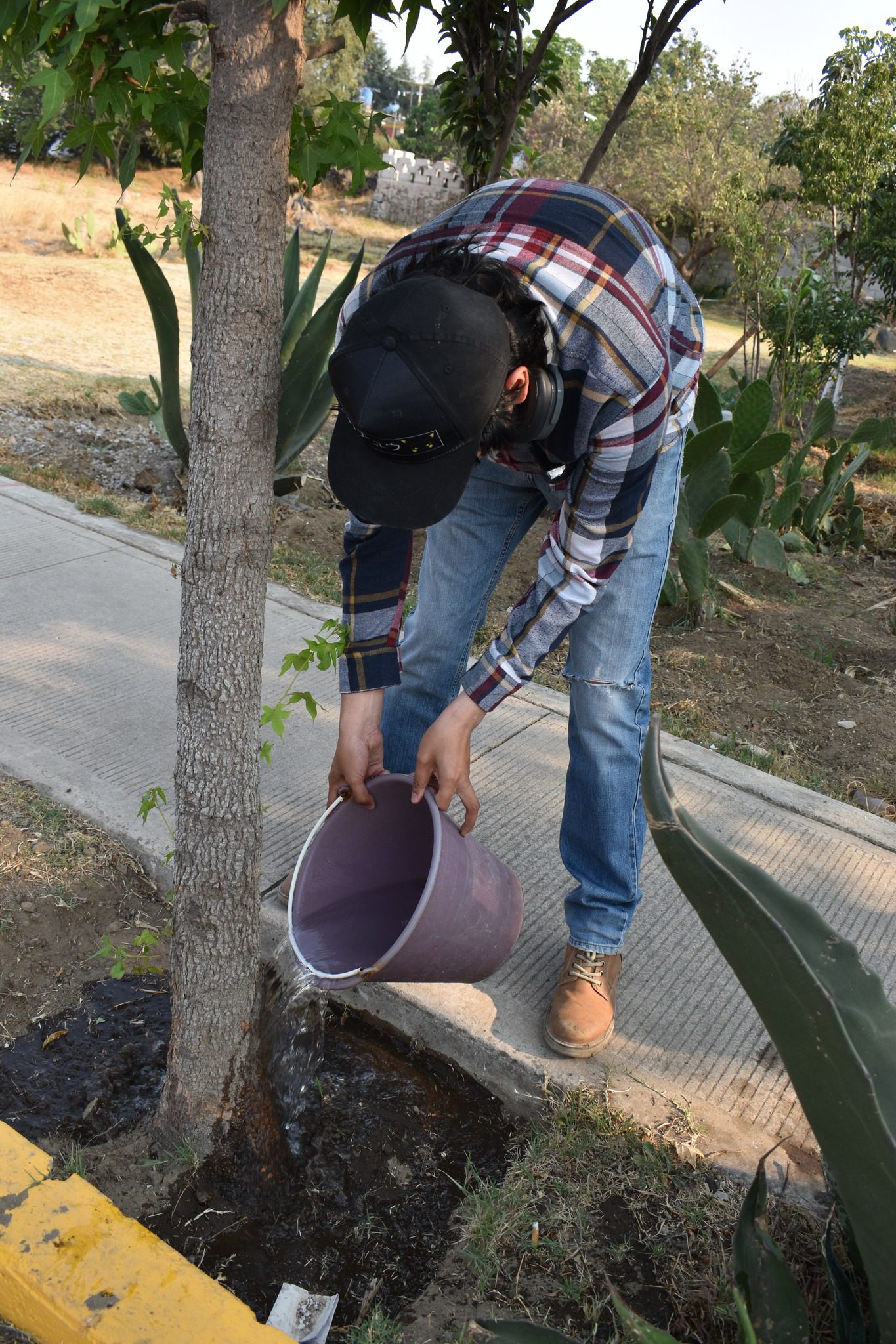 1715801973 494 ¡Unete a nosotros para cuidar y preservar nuestros arboles En