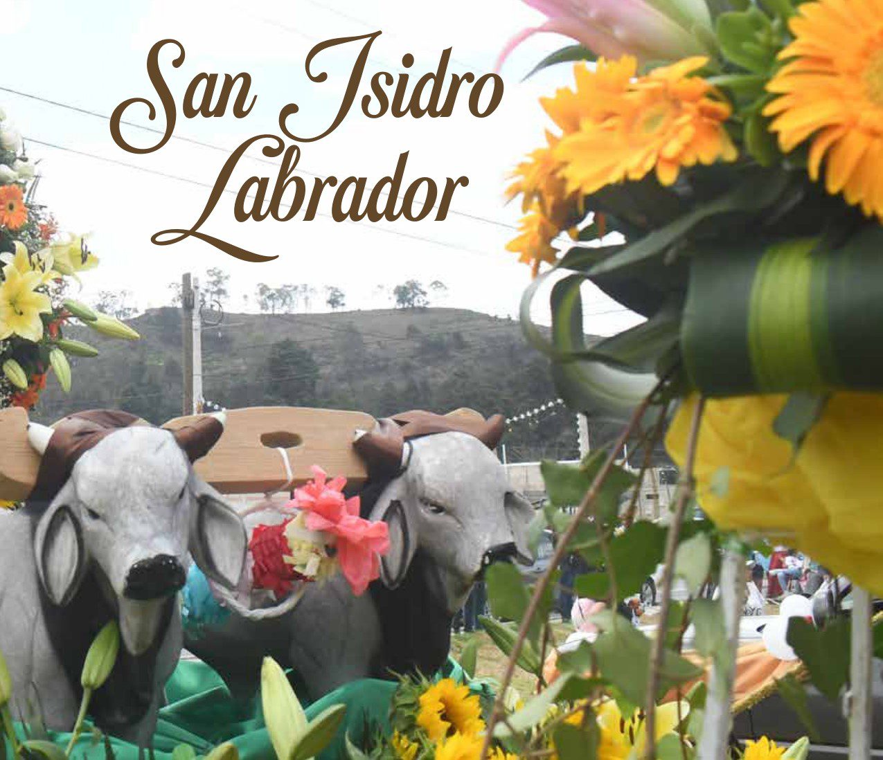 1715815471 624 Celebramos la fiesta en honor a San Isidro Labrador muestra