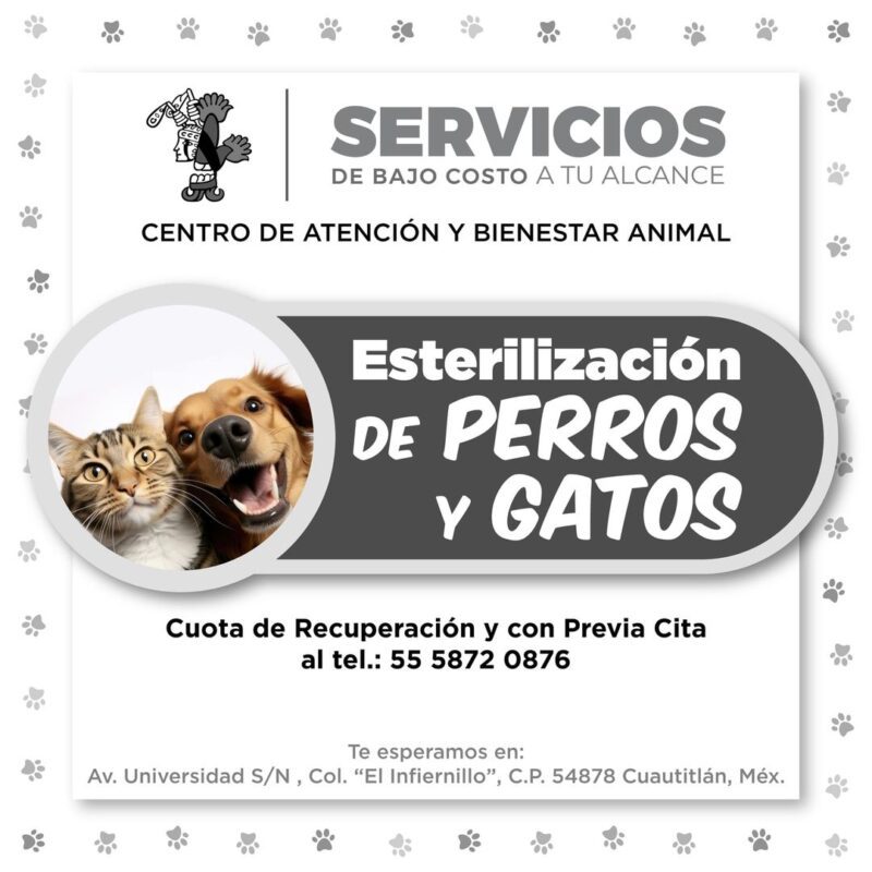 1715886615 x200d El Centro de Atencion y Bienestar Animal pone a