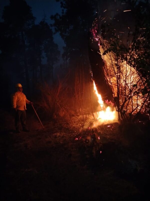 1715889573 Incendio totalmente controlado Fue abatido el incendio que se presento scaled