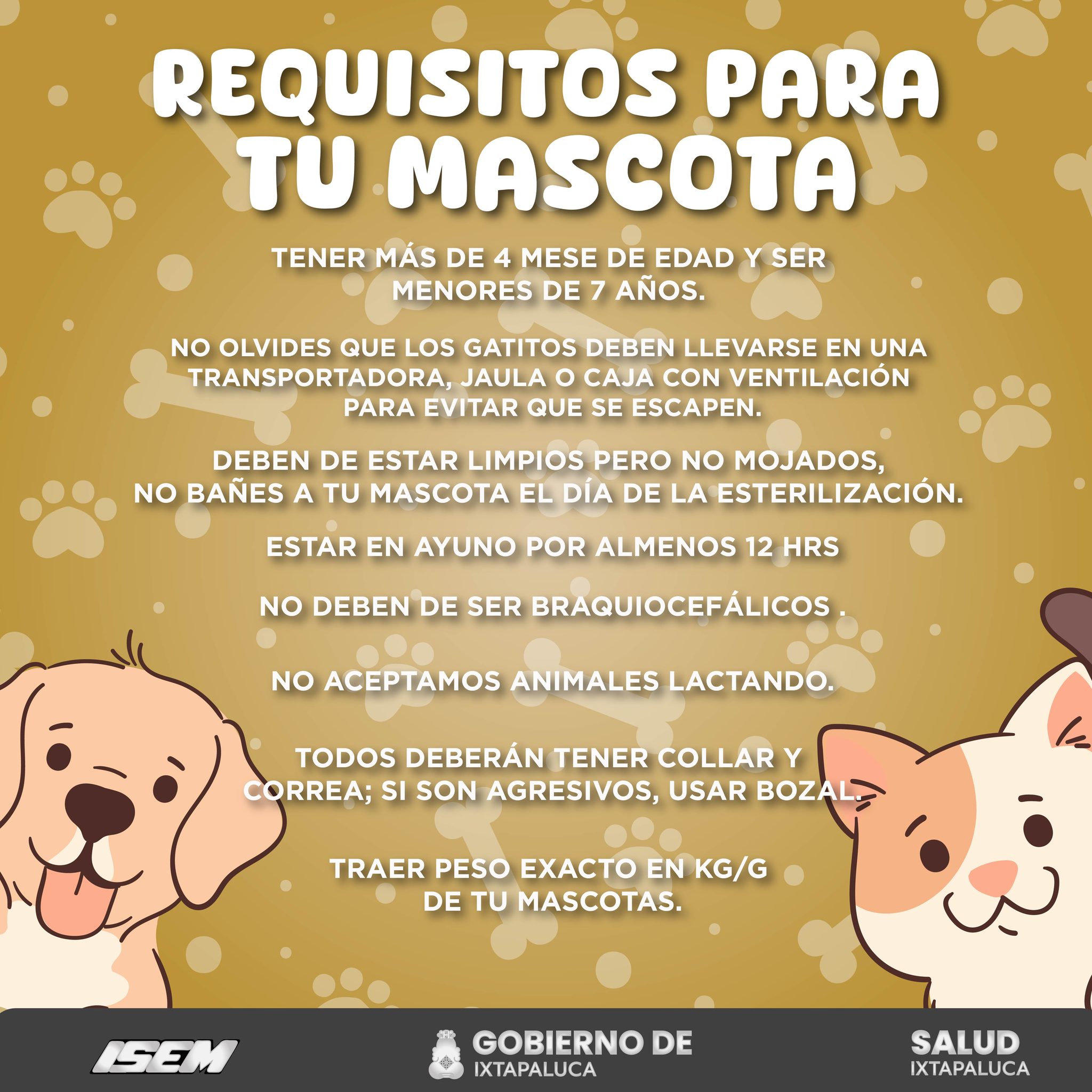 1715896173 901 Campana de Esterilizacion de Perros y Gatos Manana te esperamos