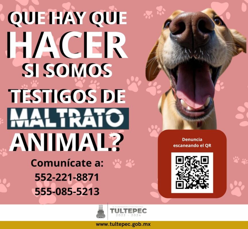 1715908566 El maltrato animal es un acto inaceptable que debemos detener