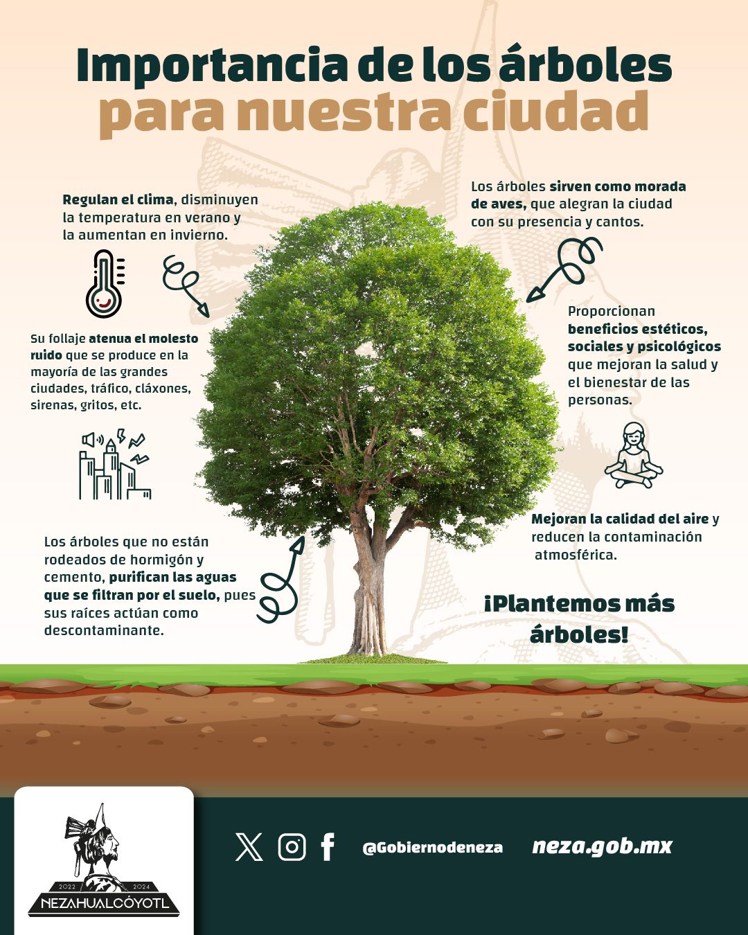 1715984952 251 MedioAmbiente ¿Por que es importante plantar arboles Plantar un