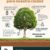 #MedioAmbiente | ¿Por qué es importante plantar árboles? Plantar un árbol es