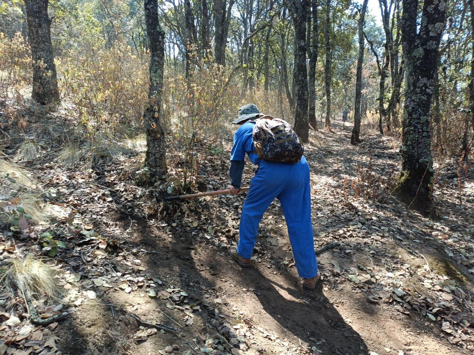 1715985993 692 Para seguir conservando nuestro emblematico cerro Xocotepetl la Brigada Municip