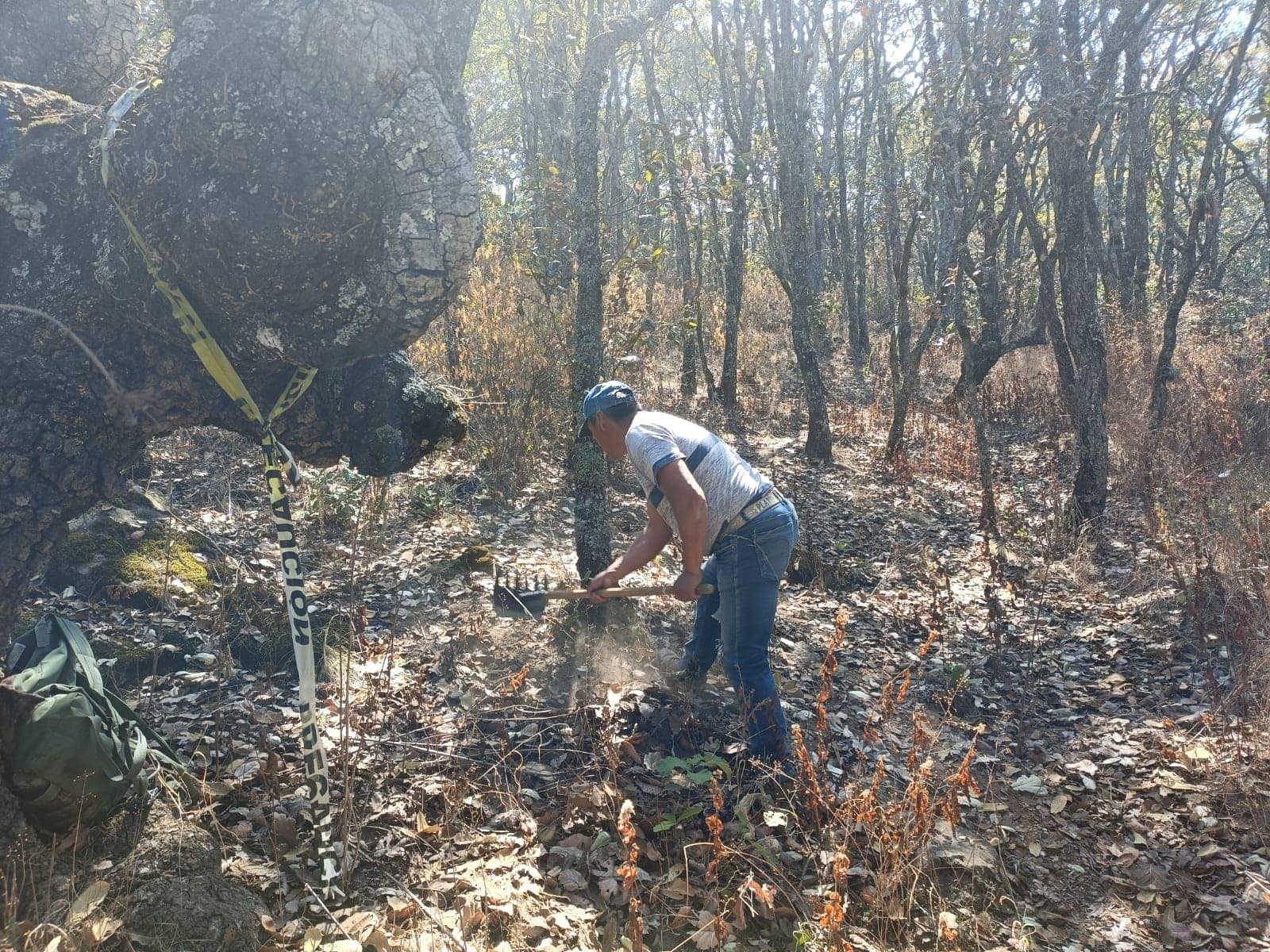 1715985993 816 Para seguir conservando nuestro emblematico cerro Xocotepetl la Brigada Municip