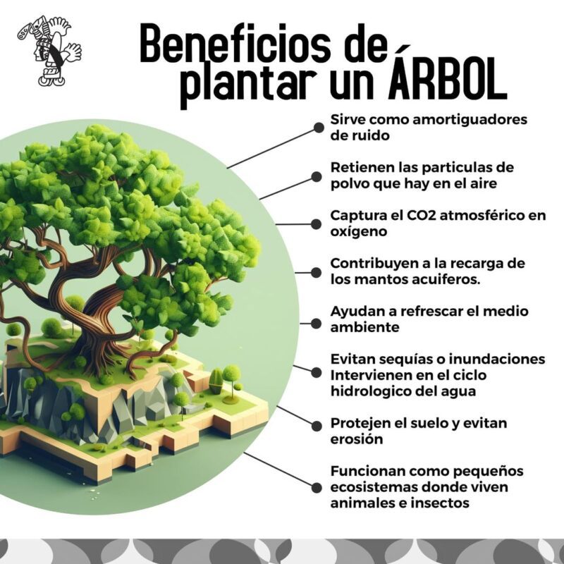 1715994992 Plantar un arbol es una manera de dar vida y