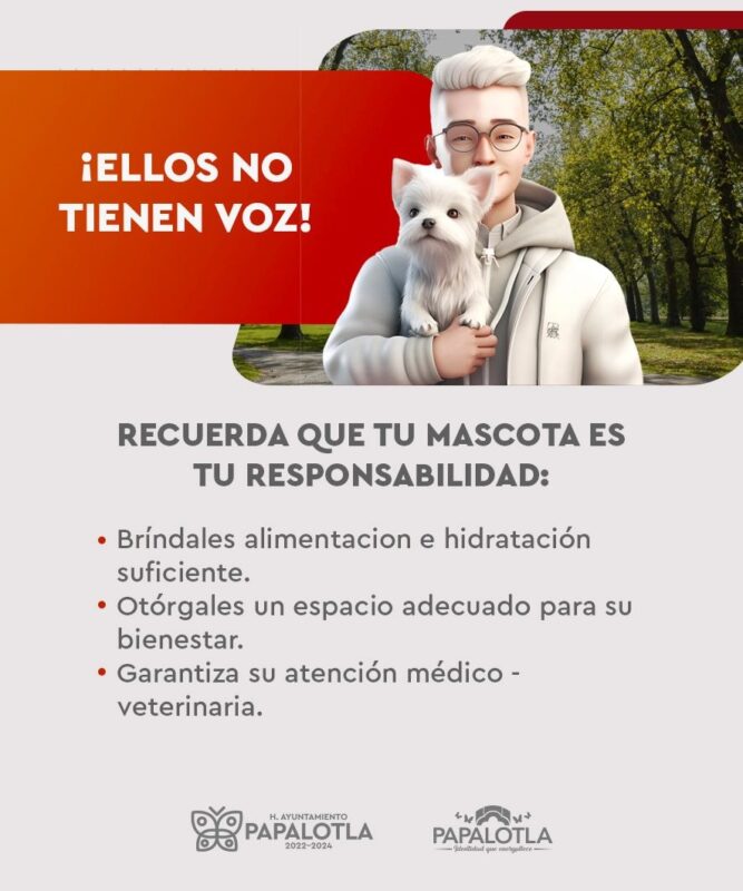 1716580673 mascotasfelices