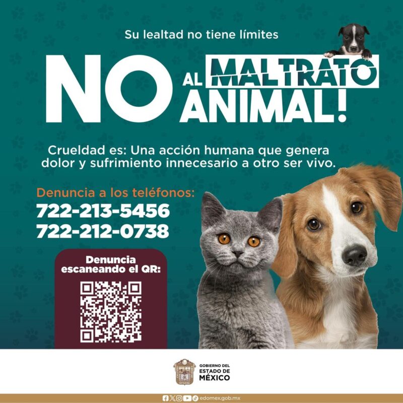 1716597213 No al Maltrato Animal SeamosSuVoz