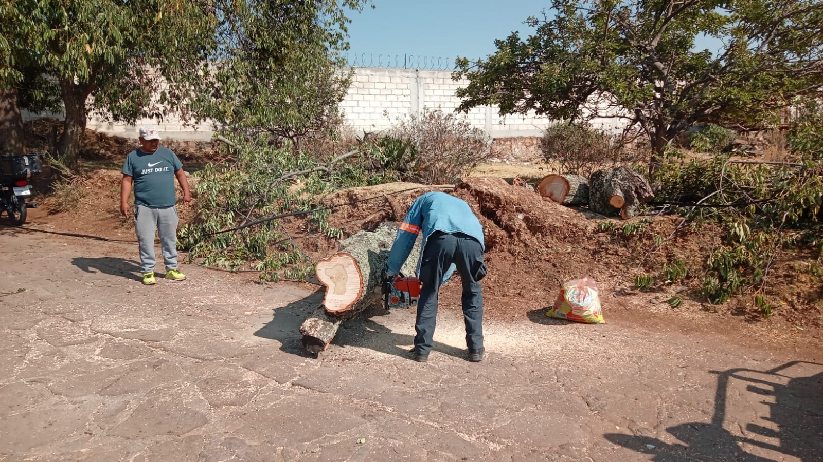 1716601714 599 El dia de hoy personal de la Coordinacion de Proteccion