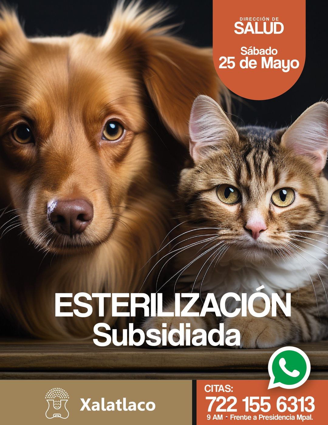 1716612551 528 Comparte para que muchas mascotas sean beneficiadas con la Esterilizacion