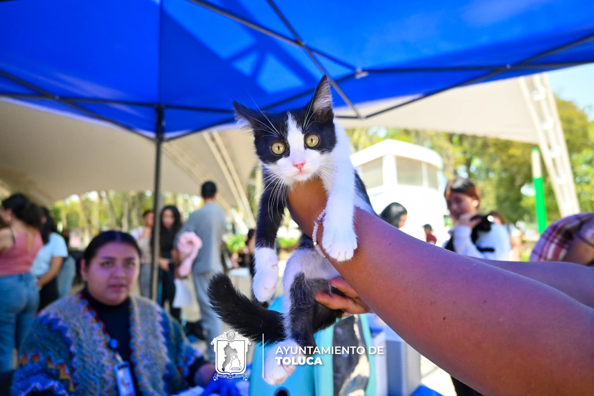 1716613773 814 ¡En nuestra querida Toluca fomentamos la tenencia responsable Para ayudar