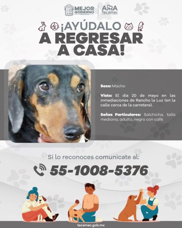 1716616015 Servicio a la comunidad ayudanos a encontrar a la familia scaled