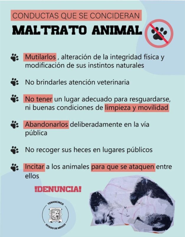 1716633564 BienestarAnimal Conductas que se consideran maltrato animal te invitamos scaled