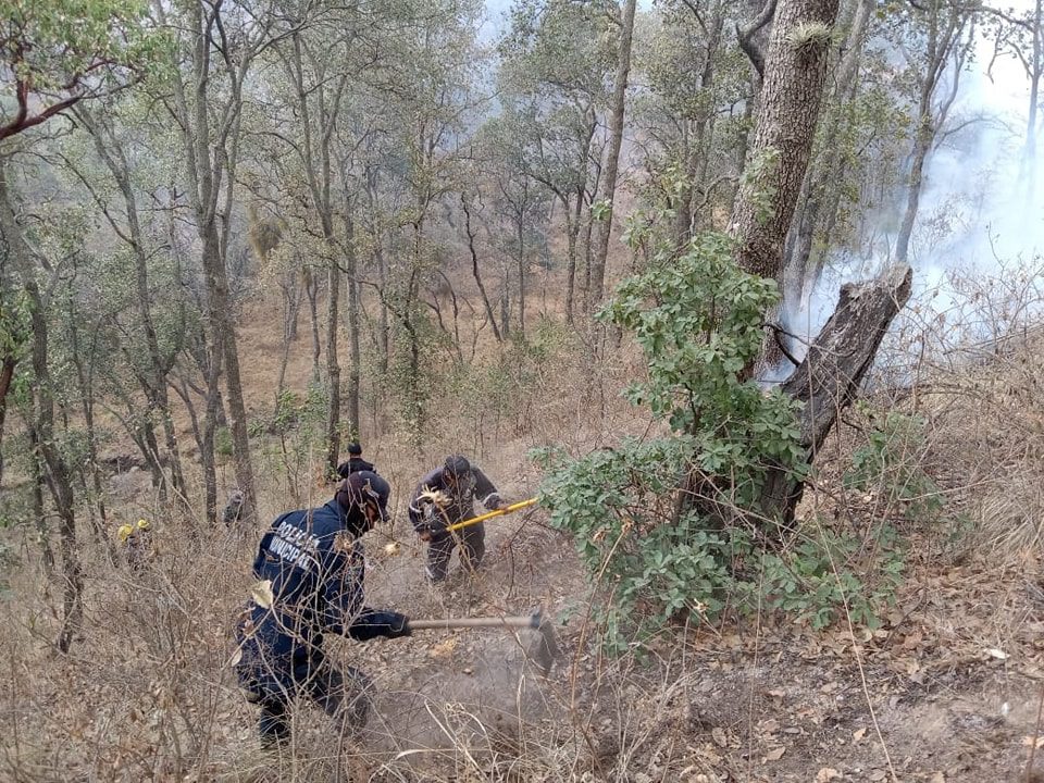 1716633776 210 Incendio Proteccion Civil Seguridad Publica y voluntarios continuan trabaja