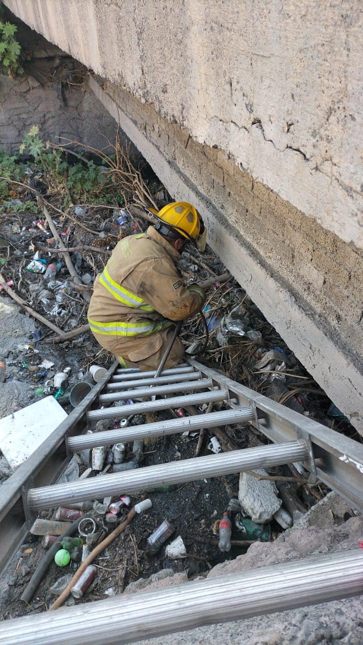 1716645964 676 Elementos de Proteccion Civil y Bomberos Coacalco 2022 2024 rescataron a