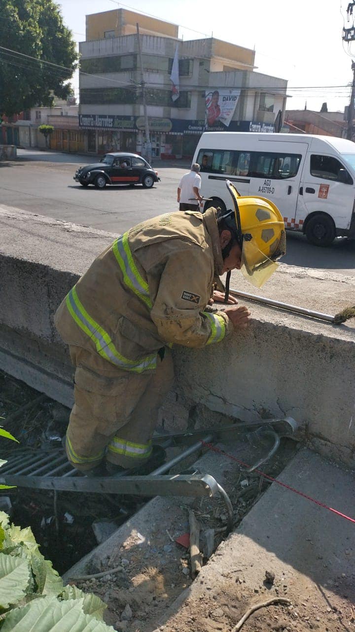 1716645964 779 Elementos de Proteccion Civil y Bomberos Coacalco 2022 2024 rescataron a