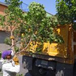 RETIRAN MÁS DE 30 TONELADAS DE BASURA EN JORNADA DE